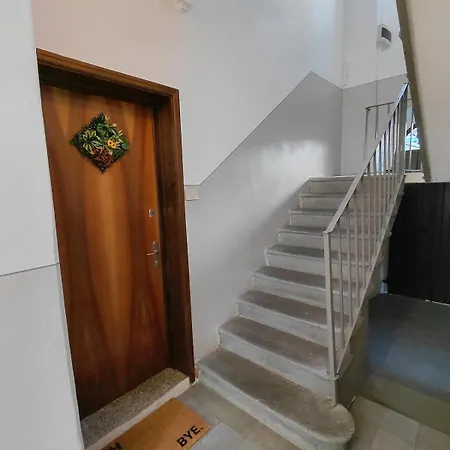 Il Di Pa